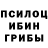 Галлюциногенные грибы MAGIC MUSHROOMS egorik mfgorik