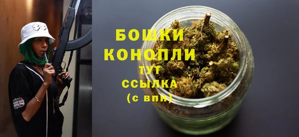 молекула духа Майский