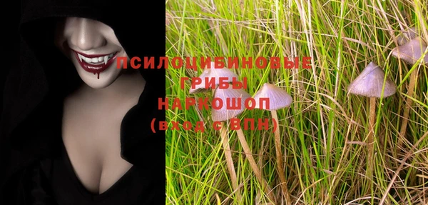 молекула духа Майский