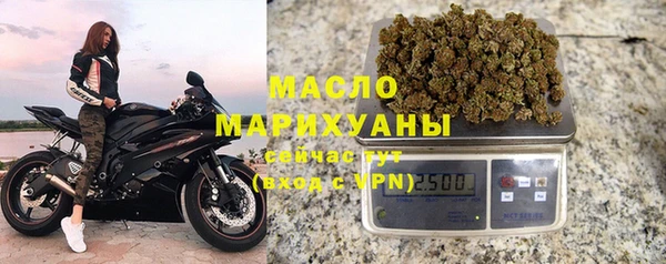 молекула духа Майский