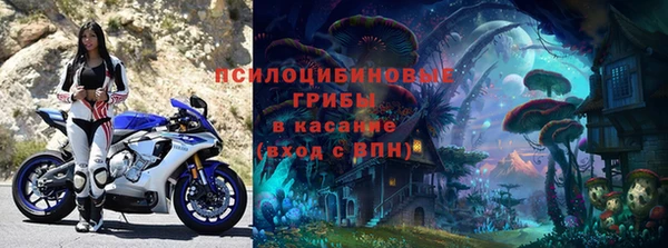 молекула духа Майский