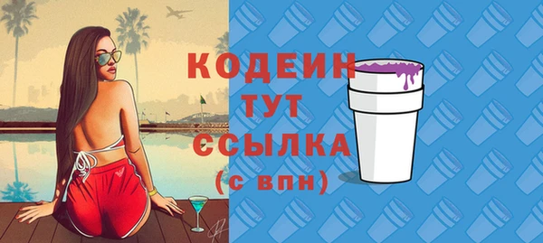 молекула духа Майский