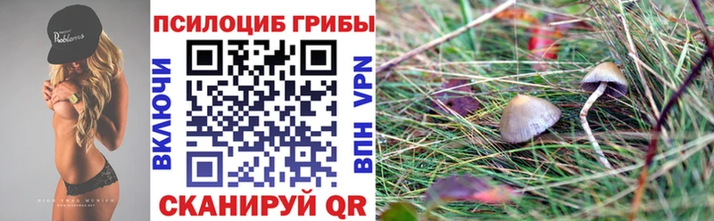 Псилоцибиновые грибы MAGIC MUSHROOMS  Купить закладки  Железногорск-Илимский 