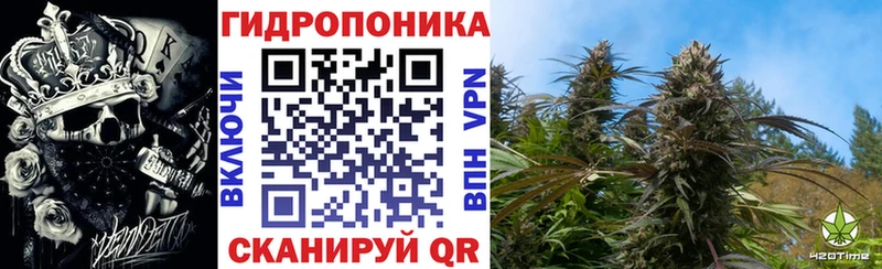 Купить где  Железногорск-Илимский  Марихуана гибрид 